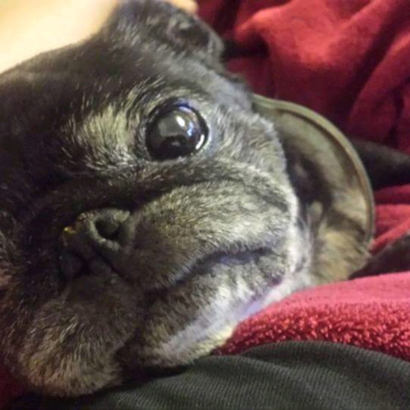 Meet your Posher, Lori - Picture 1 of 1